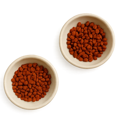 Annatto Delivers Rich Color