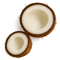 Coconut Oil Hydrates Deep